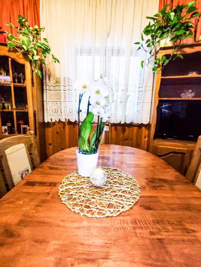 Apartmani Ankica 크리크베니카 외부 사진